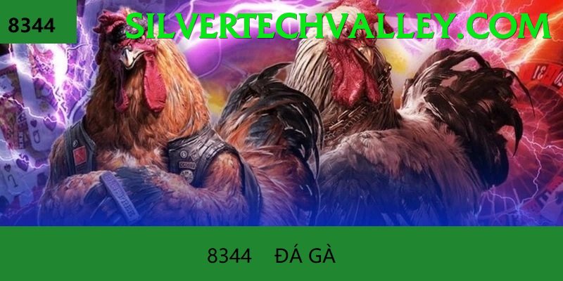 Đá Gà Trực Tiếp - good88